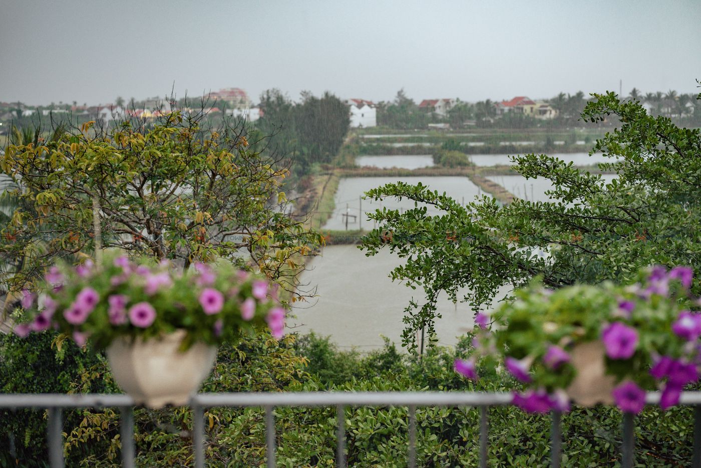 View đồng quê từ ban công